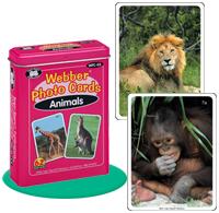 Webber Photo Cards - Animals (Model Wfc-03)