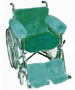 Wheelchair Covering