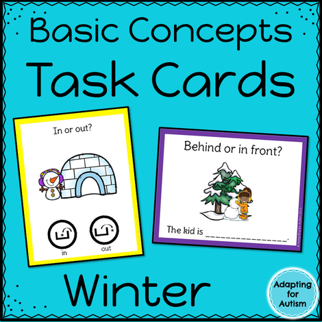 Winter Task Cards: Basic Concepts