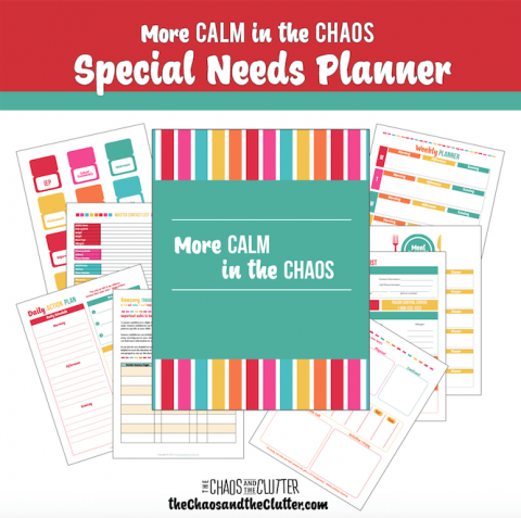 More Calm in the Chaos Planner for Mom&#039;s