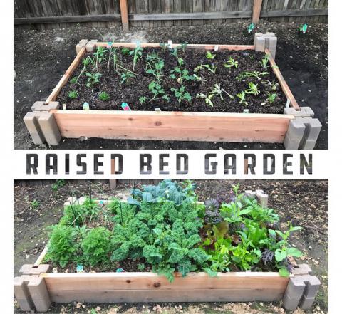 Raised Bed Garden [for Those With Only Hand Tools!]